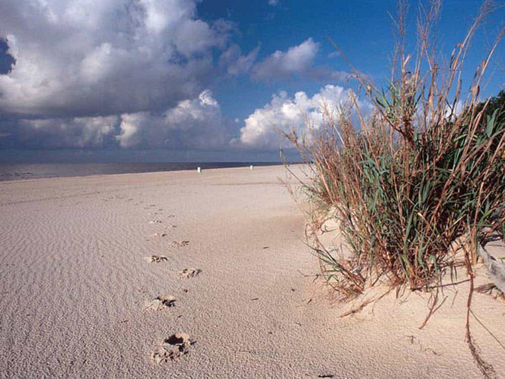 Bay St Louis Beach